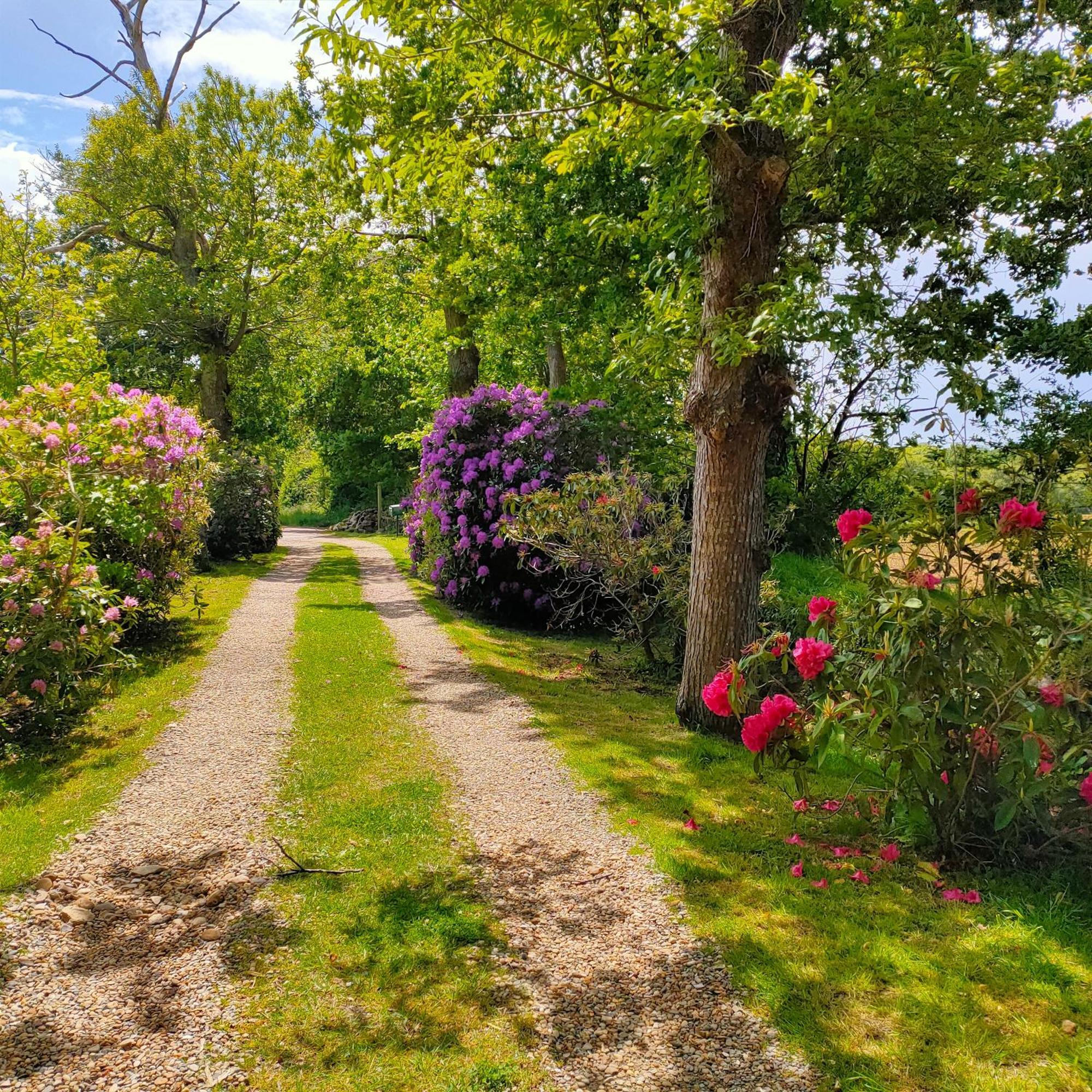 La Ferme De Kerraoul Bed and Breakfast Combrit Buitenkant foto