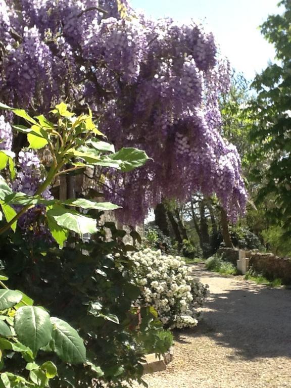 La Ferme De Kerraoul Bed and Breakfast Combrit Buitenkant foto